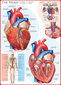 Dėlionė Eurographics, 6000-0257, The Heart, 1000 d. kaina ir informacija | Dėlionės (puzzle) | pigu.lt