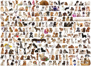 Dėlionė Eurographics, 6000-0581, The World of Dogs, 1000 d. kaina ir informacija | Dėlionės (puzzle) | pigu.lt
