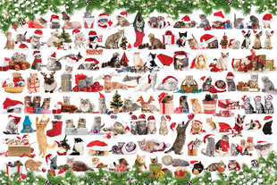 Dėlionė Eurographics, 8051-0940, Holiday Cats, Tin, 1000 d. kaina ir informacija | Dėlionės (puzzle) | pigu.lt