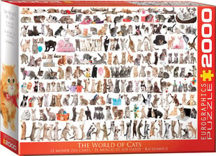 Dėlionė Eurographics, 8220-0580, The World of Cats, 2000 d. kaina ir informacija | Dėlionės (puzzle) | pigu.lt