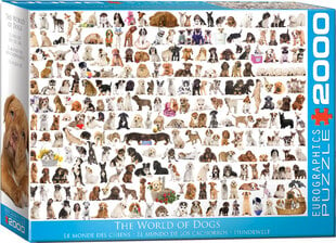 Dėlionė Eurographics, 8220-0581, The World of Dogs, 2000 d. kaina ir informacija | Dėlionės (puzzle) | pigu.lt