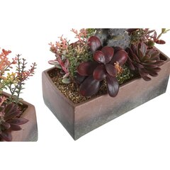 Декоративное растение DKD Home Decor 19 x 9 x 22 cm Розовый Оранжевый Кактус Резина Eva полипропилен (2 штук) цена и информация | Искусственные цветы | pigu.lt