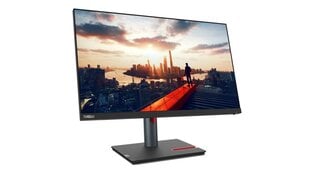 Lenovo ThinkVision P24h-30 цена и информация | Мониторы | pigu.lt