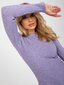 Megztinis moterims Factory Price, violetinis цена и информация | Megztiniai moterims | pigu.lt