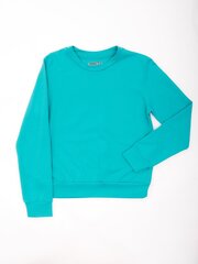 Factory Prince megztinis berniukams, mėlynas цена и информация | Свитеры, жилетки, пиджаки для мальчиков | pigu.lt