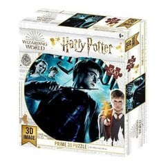 Dėlionė 3D Harry Potter, 500d. kaina ir informacija | Dėlionės (puzzle) | pigu.lt