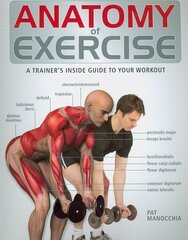 Anatomy of Exercise: A Trainer's Inside Guide to Your Workout kaina ir informacija | Knygos apie sveiką gyvenseną ir mitybą | pigu.lt
