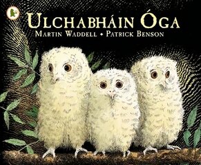 Ulchabhain Oga (Owl Babies) цена и информация | Книги для малышей | pigu.lt