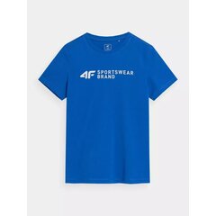 4F marškinėliai berniukams kaina ir informacija | Marškinėliai berniukams | pigu.lt