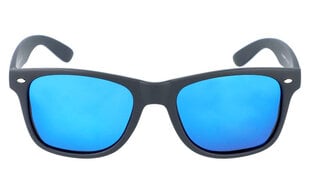 Солнцезащитные очки для мужчин PolarZone SK70 цена и информация | Легкие и мощные прозрачные защитные очки для велосипедов | pigu.lt
