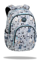 Рюкзак CoolPack Basic Plus 17" Doggy F003694 цена и информация | Школьные рюкзаки, спортивные сумки | pigu.lt