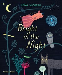 Bright in the Night цена и информация | Книги для малышей | pigu.lt