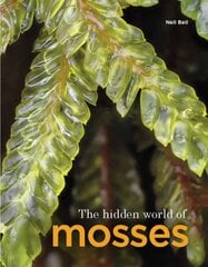 Hidden World of Mosses цена и информация | Книги по экономике | pigu.lt