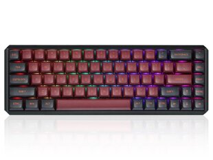 Darmoshark K5 беспроводная механическая клавиатура с подсветкой RGB (US, Hot-swap, RED switch V3) Black цена и информация | Клавиатуры | pigu.lt