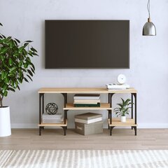 vidaXL Televizoriaus spintelė, ąžuolo, 102x35x45,5cm, apdirbta mediena kaina ir informacija | TV staliukai | pigu.lt