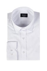 Marškiniai BZN 1133S00-S kaina ir informacija | Vyriški marškiniai | pigu.lt