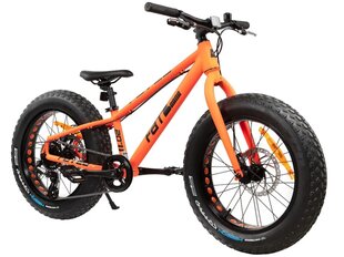 Kalnų dviratis Baana Fat 20" kaina ir informacija | Dviračiai | pigu.lt