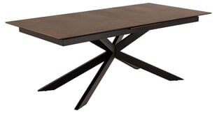 Стол обеденный Bendt Irwine, 200-240x100 см, коричневый цвет цена и информация | Кухонные и обеденные столы | pigu.lt