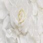 Kambario pertvara Baltosios gėlės цена и информация | Širmos, kambario pertvaros | pigu.lt
