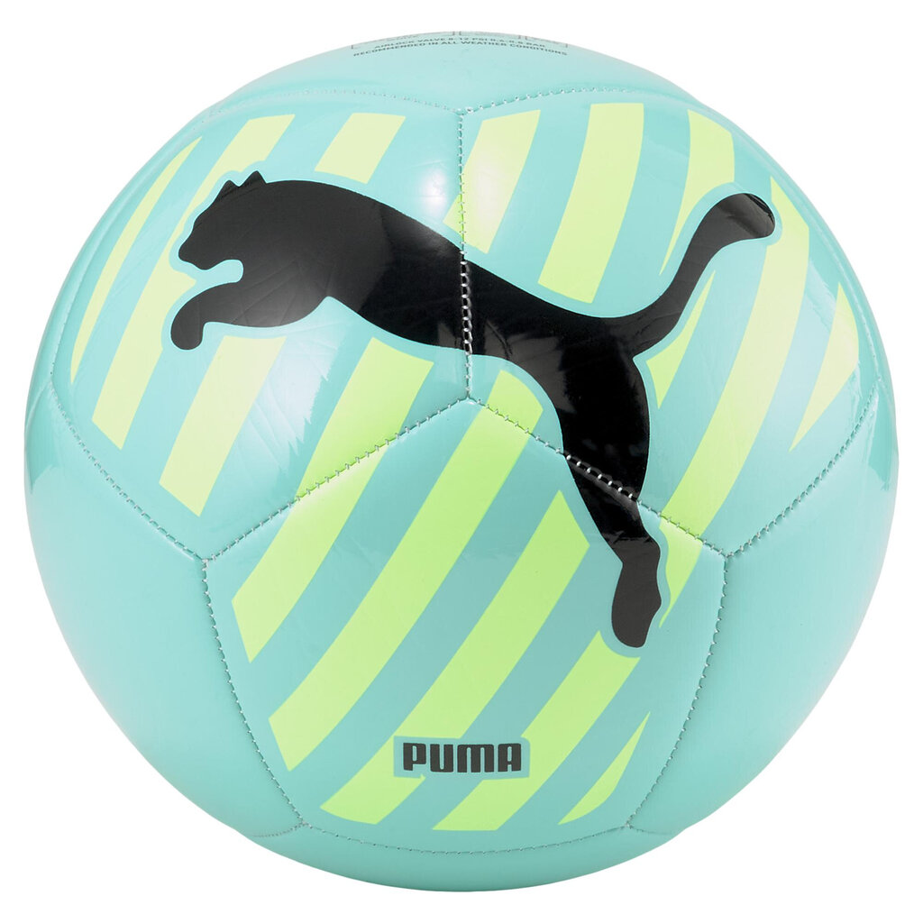 Futbolo kamuolys Puma Big Cat Electric Green 083994 02 kaina ir informacija | Futbolo kamuoliai | pigu.lt