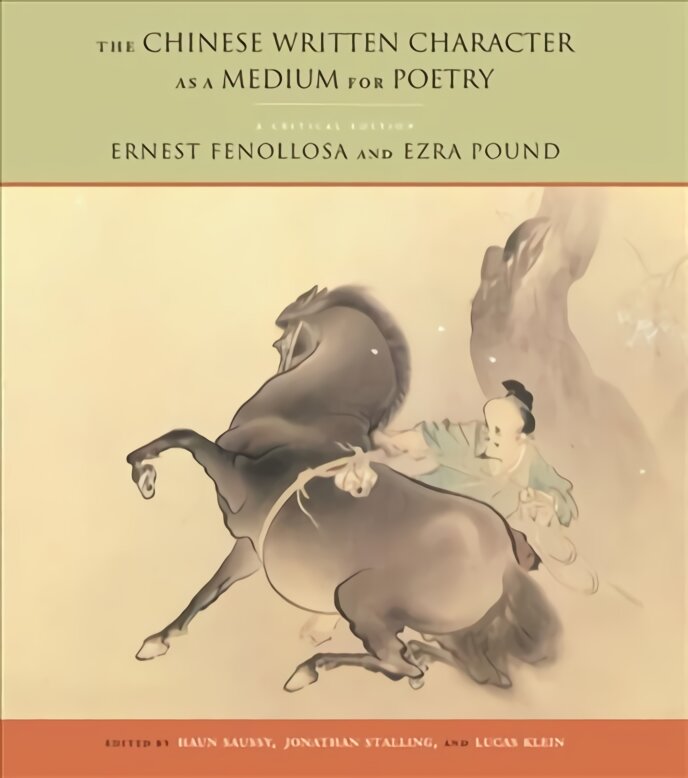 Chinese Written Character as a Medium for Poetry: A Critical Edition kaina ir informacija | Istorinės knygos | pigu.lt