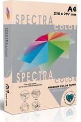 Spalvotas popierius Spectra Color, A4, 80gsm, 500 lapų, persikinis kaina ir informacija | Sąsiuviniai ir popieriaus prekės | pigu.lt