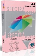 Spalvotas popierius Spectra Color, A4, 80gsm, 500 lapų, rožinis kaina ir informacija | Sąsiuviniai ir popieriaus prekės | pigu.lt