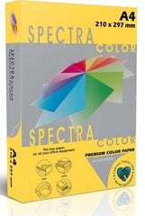 Spalvotas popierius Spectra Color, A4, 80gsm, 500 lapų, intens. aukso kaina ir informacija | Sąsiuviniai ir popieriaus prekės | pigu.lt