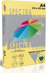 Spalvotas popierius Spectra Color, A4, 160gsm, 250 lapų, geltonas kaina ir informacija | Sąsiuviniai ir popieriaus prekės | pigu.lt