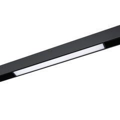 Eko-light pakabinamas šviestuvas Magnetic kaina ir informacija | Pakabinami šviestuvai | pigu.lt