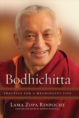 Bodhichitta: Practice for a Meaningful Life цена и информация | Духовная литература | pigu.lt