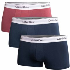 Calvin Klein trumpikės vyrams 76942, įvairių spalvų, 3 vnt. цена и информация | Мужские трусы | pigu.lt