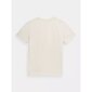 Marškinėliai vyrams Outhorn M OTHSS23TTSHM451-11S, smėlio spalvos kaina ir informacija | Vyriški marškinėliai | pigu.lt