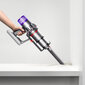 Dyson V11 Extra kaina ir informacija | Dulkių siurbliai-šluotos | pigu.lt