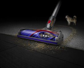 Dyson V11 Extra kaina ir informacija | DYSON Namų technika | pigu.lt