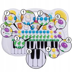 Vaikiškas pianinas Elektroniniai gyvūnai цена и информация | Развивающие игрушки | pigu.lt