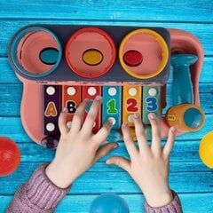 Žaislinis metalofonas 2in1 цена и информация | Развивающие игрушки | pigu.lt