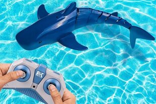 Nuotoliniu būdu valdomas Ryklys, 34 cm kaina ir informacija | Vandens, smėlio ir paplūdimio žaislai | pigu.lt