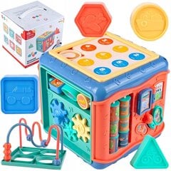 Kubas - rūšiuoklis MalPlay 6in1 цена и информация | Игрушки для малышей | pigu.lt