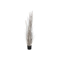 Декоративное растение DKD Home Decor тростник (35 x 35 x 120 cm) цена и информация | Искусственные цветы | pigu.lt