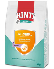 Rinti Canine Intestinal su antiena, 4 kg kaina ir informacija | Sausas maistas šunims | pigu.lt