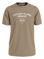 CALVIN KLEIN JEANS Varsity Curve Logo Travertine 560076634 цена и информация | Мужские футболки | pigu.lt
