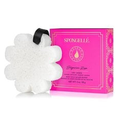 Губка для тела, пропитанная гелем для душа Spongelle White Flower Bulgarian Rose, 85 г цена и информация | Масла, гели для душа | pigu.lt