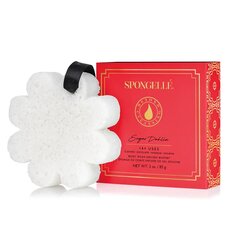 Губка для тела, пропитанная гелем для душа Spongelle White Flower Sugar Dahila, 85 г цена и информация | Масла, гели для душа | pigu.lt