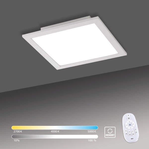 Just Light Lubinis šviestuvas Flat цена и информация | Lubiniai šviestuvai | pigu.lt