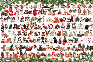 Dėlionė Eurographics, 8051-0939, Holiday Dogs, Tin, 1000 d. kaina ir informacija | Dėlionės (puzzle) | pigu.lt