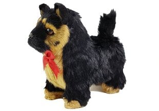 Interaktyvus šuo Vokiečių aviganis kaina ir informacija | Minkšti (pliušiniai) žaislai | pigu.lt
