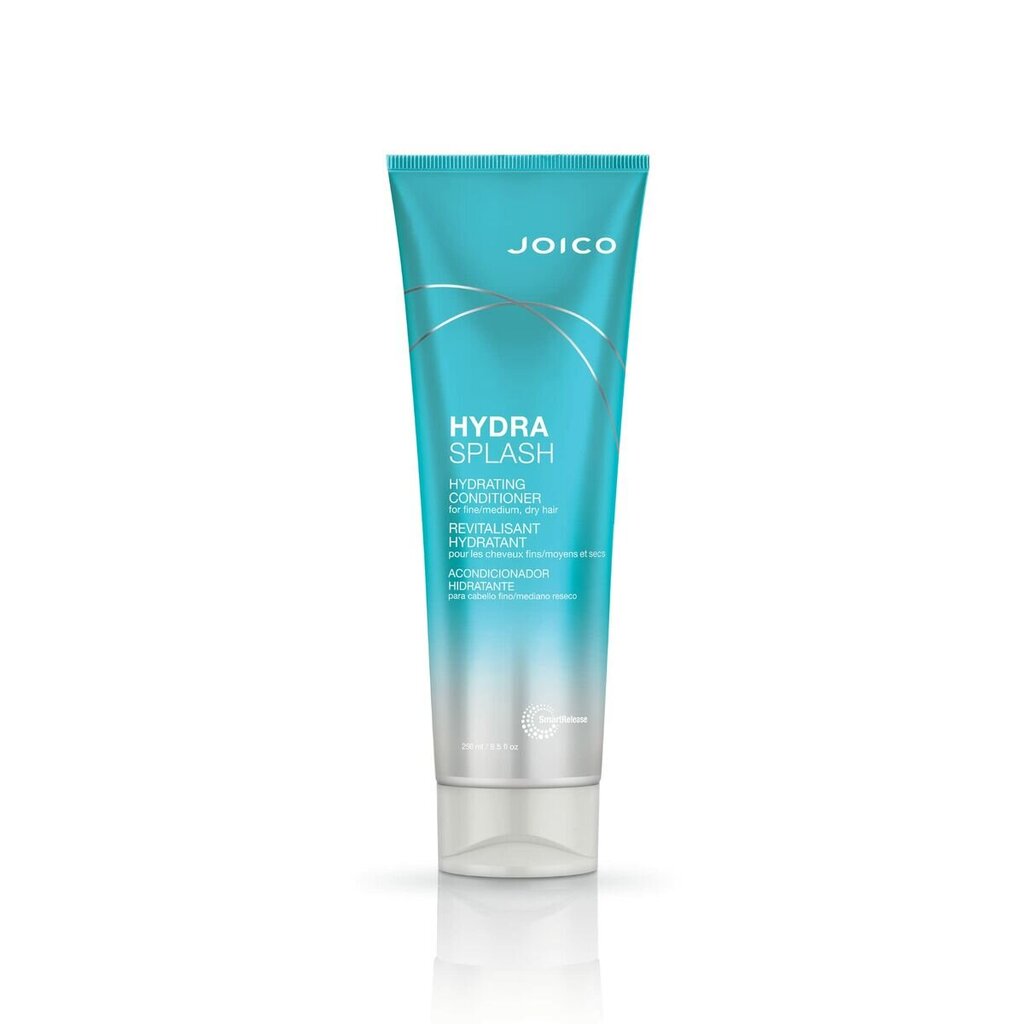 Kondicionierius Joico Hydra Splash, 250 ml цена и информация | Balzamai, kondicionieriai | pigu.lt