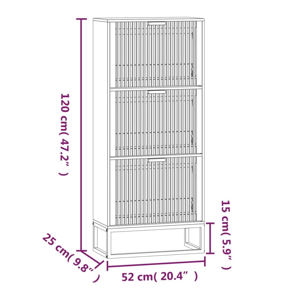 vidaXL Spintelė batams, 52x25x120cm, apdirbta mediena kaina ir informacija | Batų spintelės, lentynos ir suolai | pigu.lt