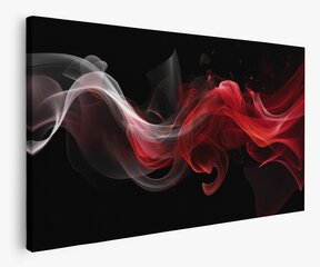 Картина Red White Smoke цена и информация | Репродукции, картины | pigu.lt